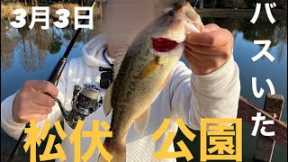 【埼玉バス釣り】噂の松伏公園でバス出たぞ！激ムズ！古利根でのデカバスも！【バス釣り】