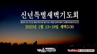 2025 신년특별새벽기도회 - 아모리 연합군과의 전쟁(수10:1~15) 장순호 목사(매일성경)