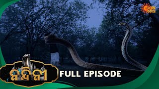 Nandini - Episode 164 | Full Episode | Odia Naagin show | Sun Odia