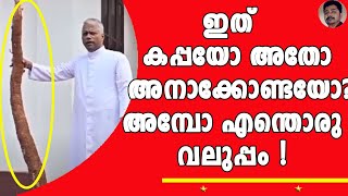 കൊല്ലത്തെ പള്ളിയിൽ നേർച്ച കിട്ടിയ ഭീമൻ കപ്പയുടെ  രസകരമായ ലേലം കാണുക .. !