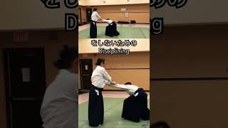 WOW!合氣 | ストリートファイト : Aiki Street Fight | 短刀当て二教落とし TantoAte NikyoOtoshi #合氣道 #aikido #martialarts