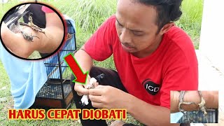 GAW4T TERSERANG PENYAKIT INI - harus cepet2 di obati