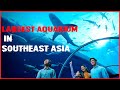 Largest Aquarium in Southeast Asia - Singapore SEA Aquarium | Singapore | Dhaka Canvas