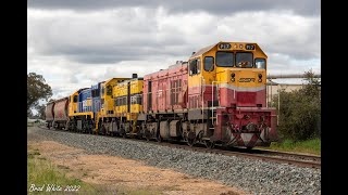 SSR's T386 and P17 give a large horn show on 0083 Bendigo North Workshops transfer- 25/8/22