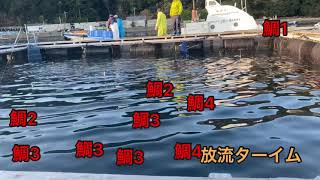 海上釣り堀　（第1回　タカチカップ）前編