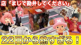 【クレーンゲーム】得をする！激アツ景品の争奪戦を勝ち抜け！！(UFOキャッチャー.ユーフォ―キャッチャー.ユーホーキャッチャー.SPY×FAMILY.ワンピース.鬼滅の刃.チェンソーマン.コツ.攻略】