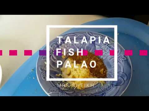 Talapia Fish Palao Talapia Fish Palao