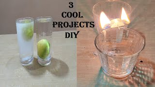 3 cool science project | diy easy projects at home | DIY pandit