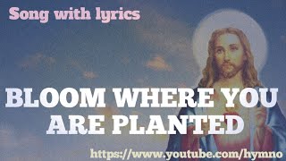 BLOOM WHERE YOU ARE PLANTED || HYMN OCEAN_COVER SONG_DEVOTIONAL_PRAYER SONG WITH LYRICS_