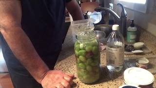 Marinating Cracked Green Olives - Ελιές Τσακιστές