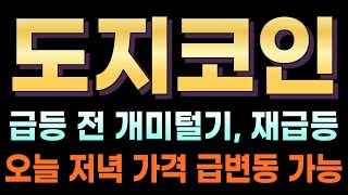 [도지코인 전망]🔥긴급🔥급등 전 개미털기, 재급등!! 오늘 저녁 가격 급변동 가능성!! 영상 중요합니다. #도지코인호재 #도지코인 #DOGE  #도지코인전망 #도지코인목표가