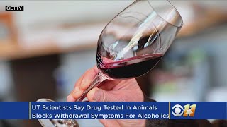 UT Scientists Make Progress On Anti-Alcoholism Drug