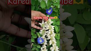 Karedu bidu nanna ne bega like,share,subscribe#karedubidu #kannadahits #kannadasongs #karedubidusong