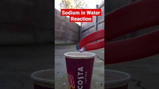 Massive Sodium Explosion - This Broke the Cup!