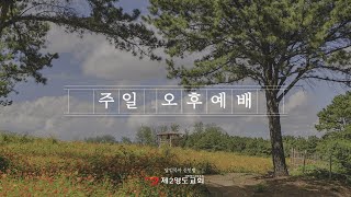 1/26[주일 오후예배] 한 지체가 고통을 받으면 / 담도암,췌장암이란? (고전 12: 23-27)