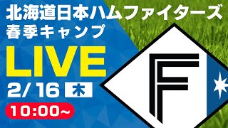 【特別LIVE】2/16 朝10:00～ ファイターズキャンプLIVE 2023 in OKINAWA～北海道日本ハムファイターズ～