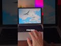 mac trackpad gestures shorts