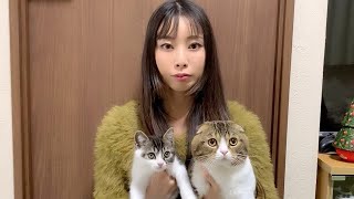 ご報告があります。【パパ猫・子猫】