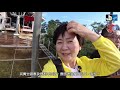 鳥取_ep2_城市中的海岸奇景『鳥取砂丘』_砂丘美術館_賀露港美味海鮮飯