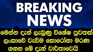 මෙන්න දැන් ලැබුණු විශේෂ පුවතක් - breaking news