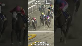 【競馬】『メイショウハリオ』真の帝王へ！史上初の帝王賞連覇達成！【帝王賞】 #short