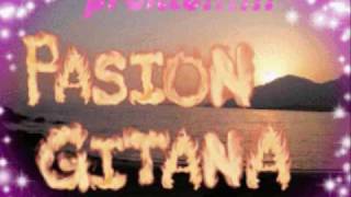 pasion gitana trailer.wmv