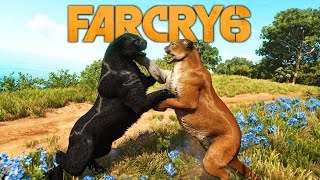 Far Cry 6 Animal Fights