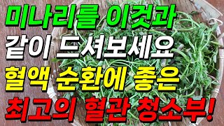 미나리를 이것과 같이 드셔보세요 혈액 순환에 좋은 최고의 혈관 청소부! 동맥경화, 고지혈증에 좋은 음식!