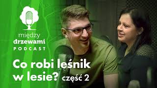 Między Drzewami #8 Co robi leśnik w lesie? Cz. 2 | PODCAST