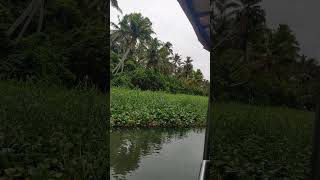 #my favorite song#  #nice place# #kerala# #enjoy#