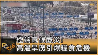 極端氣候釀災! 高溫旱澇引爆糧食危機｜方念華｜FOCUS全球新聞 20240624 @tvbsfocus