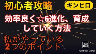 【キンヒロ】初心者攻略　効率良く☆6進化、育成していく方法　２つのポイント【キングダムオブヒーロー】