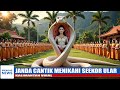 KALIMANTAN VIRAL.!! Seorang janda cantik menikahi seekor ular dan ternyata ular itu adalah...