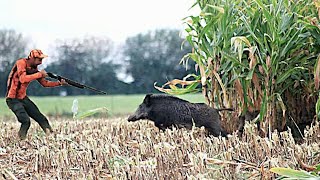 Hunting Wild Boar: PART 4-Season 2023 || AIT MIMOUN - KHEMISSET