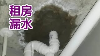 租房后发现房屋漏水怎么办？|美国租房攻略Rental Guides:Water Leaks