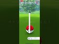 ポケモンgo オドリドリ まいまいスタイル 初登場‼️他地域では色んなスタイルが出現中‼️ shorts オドリドリ