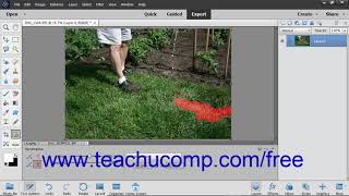 Photoshop Elements 2019 Tutorial The Recompose Tool Adobe Training
