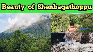 செண்பகத்தோப்பு இயற்கை எழில்||Beauty of Shenbagathoppu||Western Ghats||Trekking vlog ||Travel vlog