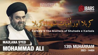 Majlis 3 | Karbala aur Ummahaat e Shuhada e Karbala - 13 Muharram 1445H | Maulana Mohammad Ali Naqvi