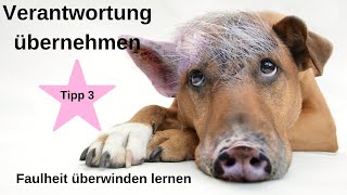 Verantwortung übernehmen ► Wie kann mein Kind Verantwortungsbewusstsein lernen?