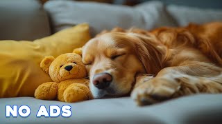 12 Hours Calming Dog Music🎵Calming Music for Dogs with Anxiety🐶🎵Dog Sleep Music for Dog Relaxation🐶