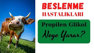 Propilen Glikol Nedir? Beslenme Hastalıkları Güç Doğum Nelere Sebep Oluyor?