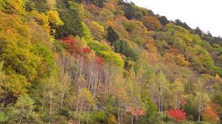 奥飛騨は平湯温泉の紅葉　2020/10/26