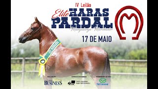 IV Leilão Elite Haras Pardal