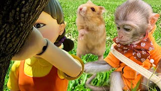 Squid Game vs Baby Monkey Animal : Baby Monkey Bim Bim rescues Hamster