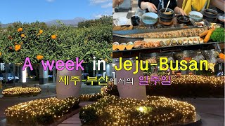 [Vlog] 남녘(부산-제주)에서의 일주일; 나의 일주일; A week in Jeju \u0026 Busan