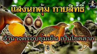 แสงนกคุ้ม | คตแสงไข่นกคุ้มหิน..!!