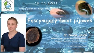 Fascynujący świat pijawek