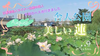 【散歩】あまりに綺麗だったのでハス池だけ/舎人公園／ハス池/日暮里舎人ライナー沿線の住人/癒しを求めて