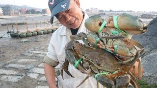 泰叔翻别墅抓到三宝，力气又大个个都肥，刚要收起来却大呼摔死了